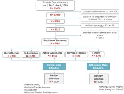 Expanding the Secondary Use of Prostate Cancer Real World Data: Automated Classifiers for Clinical and Pathological Stage